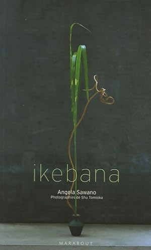 Ikebana - Angela Sawano