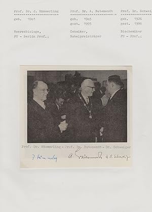Joachim Hammerling Nazi Funded Danish German Biologist Hand Signed