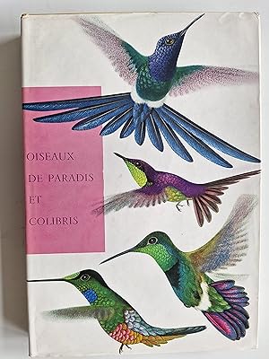 Oiseaux de paradis et colibris, images de la vie des oiseaux sous les tropiques.