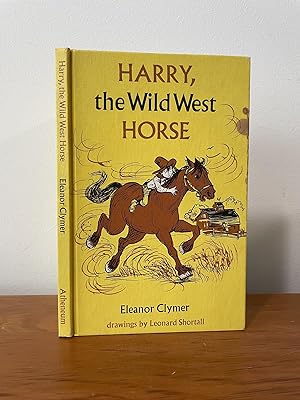 Harry, the Wild West Horse