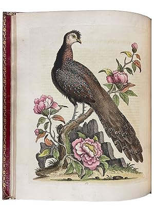 A Natural History of Uncommon Birds, and of Some Other Rare and Undescribed Animals. [With:] Glea...