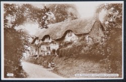 Studland Thatched Cottages RP Postcard