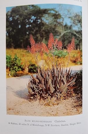 The Aloes of Tropical Africa and Madagascar [Alan Roger's copy]