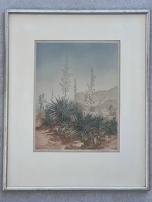 Spanish Yucca, Arizona Signed Etching