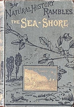 Natural History rambles: the sea-shore