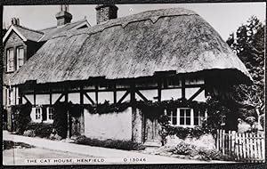 Henfield The Cat House Postcard