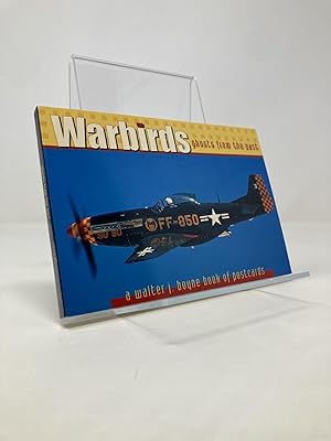 Warbirds: Ghosts from the Past