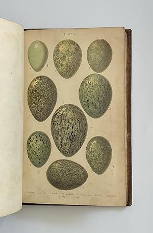 British Birds' Eggs and Nests, popularly described. with coloured illustrations by W.S.Coleman. N...