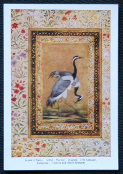 Pair Of Saras Artist Mansur Mughal Postcard