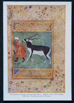 Emperor Jahangir Black Buck Postcard