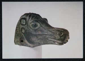 Cheval Bronze Musee D'Agen Postcard