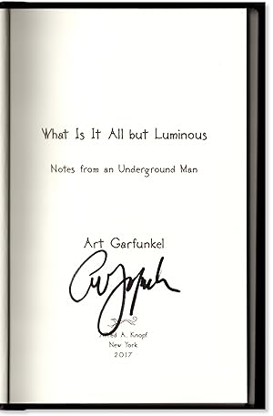 What is all but Luminous: Notes From an Underground Man.