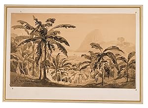 [Ink drawing of Guanabara Bay].[Rio de Janeiro , 1837 ]. With: (2) [LEBSCHÉE, Carl August (attrib...