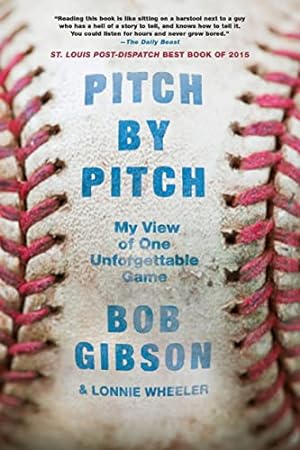 Pitch By Pitch :My View of One Unforgettable Game