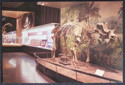 Uintatherium British Museum Art Card
