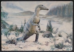 Trachodon Mirabilis Postcard