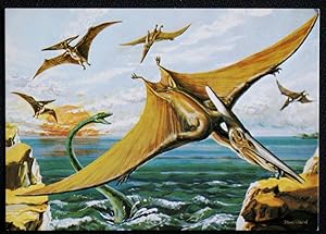 Pteranodon Postcard