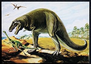 Tyrannosaurus Rex Postcard