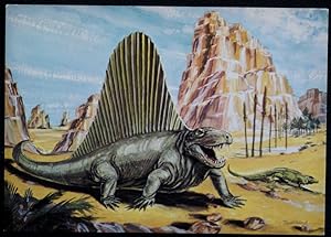 Dimetrodon Postcard