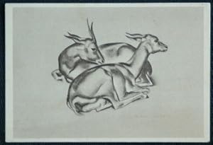 Deer Soho Gallery Postcard