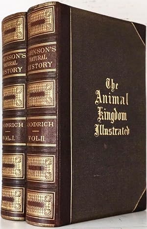 Johnson's Natural History, Comprehensive, Scientific, and Popular, Illustrating and Describing th...