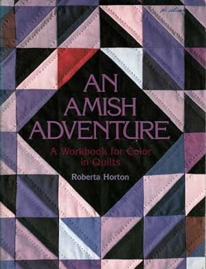 An Amish Adventure: A Workbook for Color in Quilts