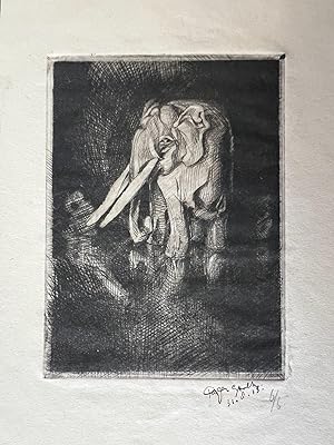 Modern print 1913 | Etching of Elephant with tusks by Reijer (Reyer) Stolk, signed and dated 31.8...