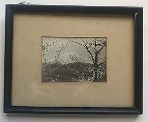 Vintage Japanese photograph MOUNT FUJI with BLOSSOMS
