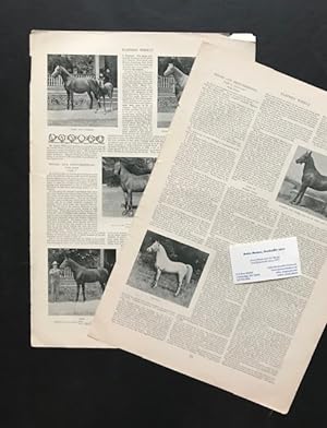 [Two Articles on Arabian Horses]