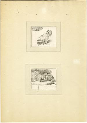 2-Antique Master Prints-DOG-LYING-SEATED-Brouwer and Van Amstel-Van Mieris-1777