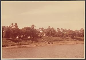 Egypt 1954, Along the Nile between Kom Ombo and Aswan, Vintage photography