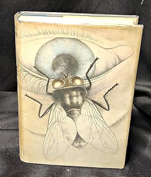 The Fly