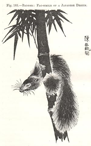 Badger: Fac-simile of a Japanese Design