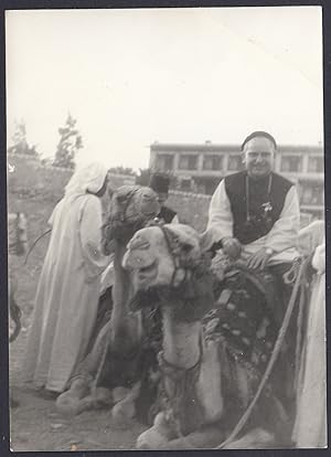 Egitto 1955, Il Cairo, Partenza con Cammelli per le Piramidi, Fotografia vintage