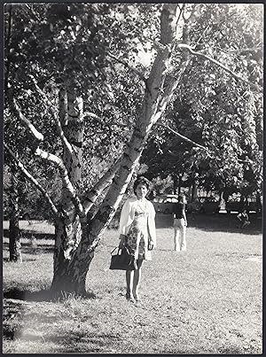Torino 1970, Scorcio di un parco alberato, Fotografia vintage 18 x 24