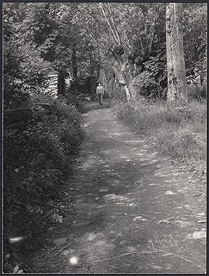 Italia 1970, Luogo da identificare, Viale in un bosco, Fotografia vintage 18 x 24