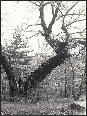 Italia 1970, Donna in posa tra due alberi, Fotografia vintage 18 x 24