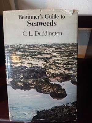 Beginners Guide To Seaweeds