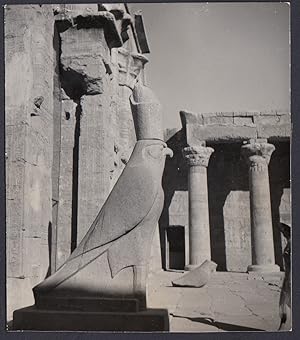 Egitto 1950, Edfu, Dettaglio del Tempio, Fotografia epoca