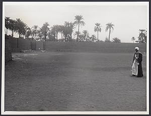 Egitto 1950, Karnak, Oasi, Panorama, Tipi del luogo, Fotografia vintage