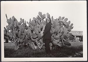 Pianta grassa gigante, Botanica, 1950 Fotografia vintage
