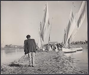 Egitto 1950, Aswan, Assuan, Veduta animata caratteristica, Fotografia vintage