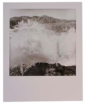 Lee Friedlander: Western Landscapes