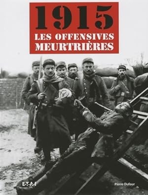 1915 les offensives meurtri?res - Pierre Dufour