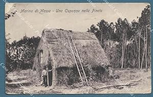 MARINA DI MASSA. Una capanna in pineta. Cartolina d'epoca viaggiata