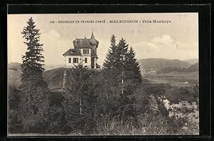 Carte postale Malbuisson, villa Montjoye