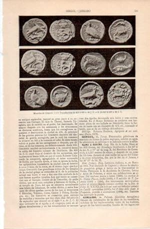 LAMINA V39950: Monedas de Girgenti