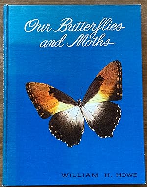Our Butterflies and Moths
