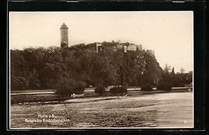 Ansichtskarte Halle / Saale, Burgruine Giebichenstein