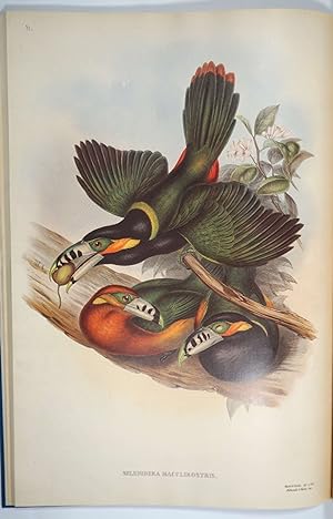 A Monograph of The Ramphastidae or Family of Toucans